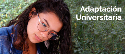 Adaptación Universitaria