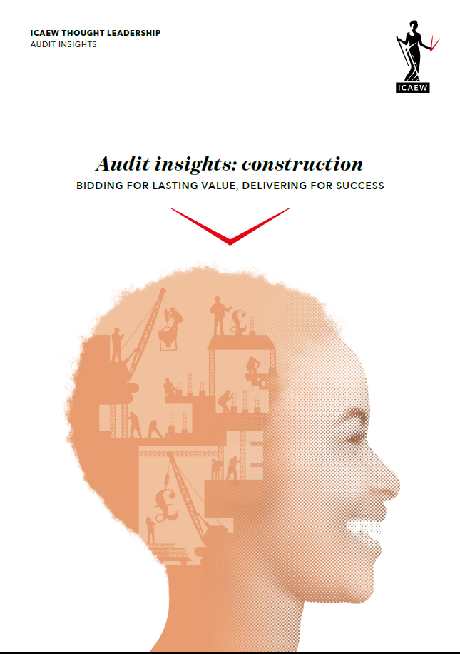 AuditInsights