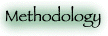 Methodology