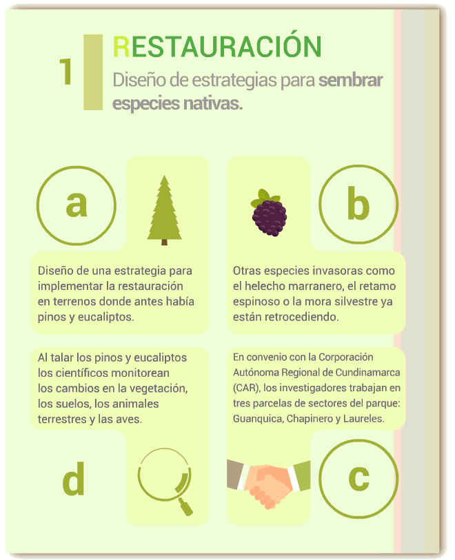 1-infografia-neusa