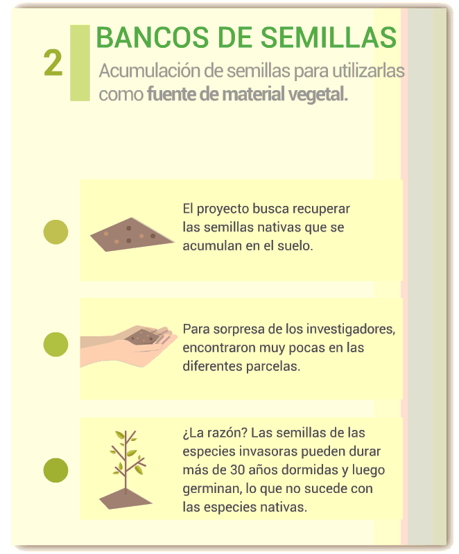 2-infografia-neusa