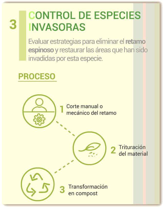 3-infografia-neusa