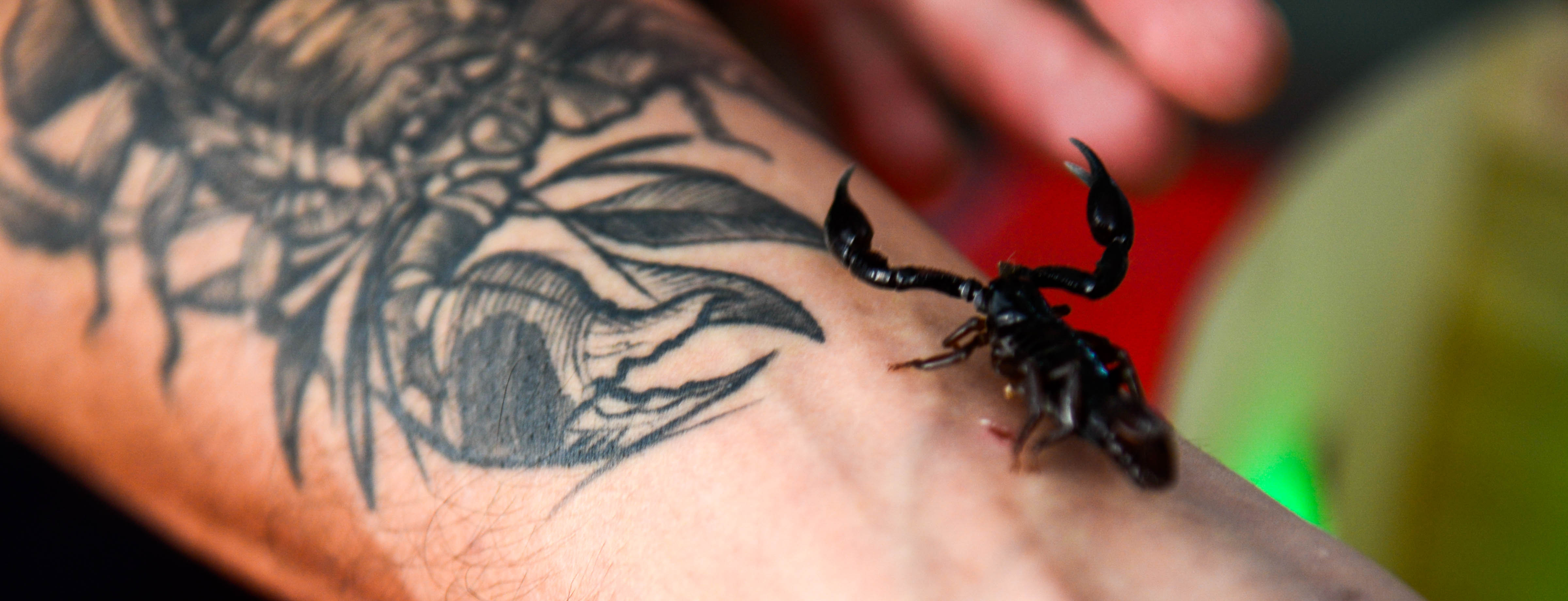 El biólogo que les ‘devolvió la vista’ a los escorpiones