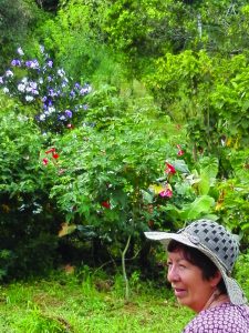 “Me encanta ensayar semillas, plantar, ver crecer las matas, me emociono cuando salen las flores y los frutos maduran”.