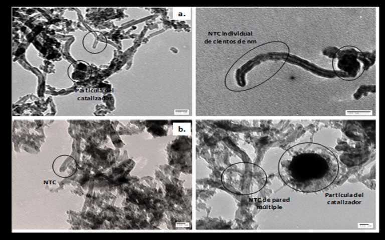 Así lucen los nanomateriales desarrollados por los investigadores javerianos. / Cortesía 