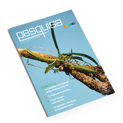 Revista Pesquisa Javeriana Edición 19