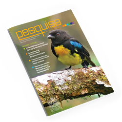 Revista Pesquisa Javeriana Edición 25