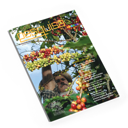 Revista Pesquisa Javeriana Edición 33