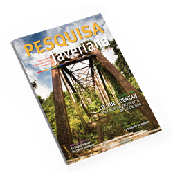 Revista Pesquisa Javeriana Edición 39