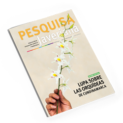Revista Pesquisa Javeriana Edición 44
