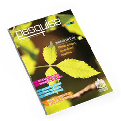 Revista Pesquisa Javeriana Edición 6