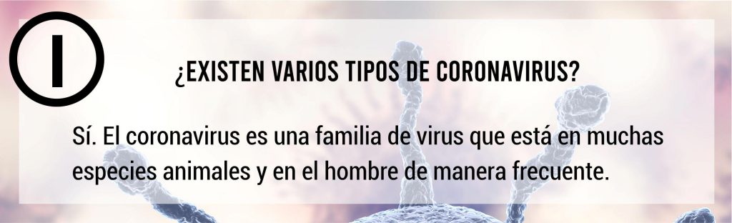 preguntas-frecuentes-sobre-virus10