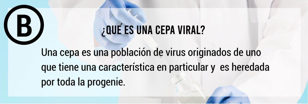 preguntas-frecuentes-sobre-virus3