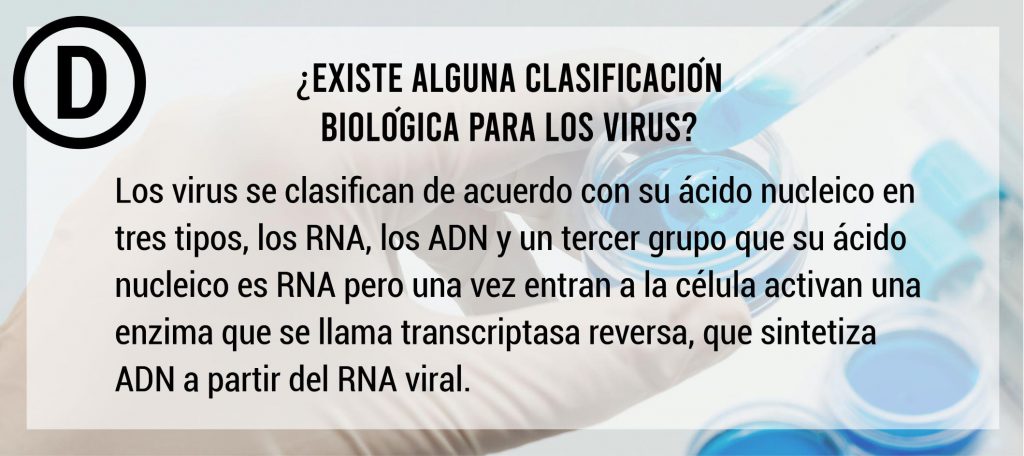 preguntas-frecuentes-sobre-virus5