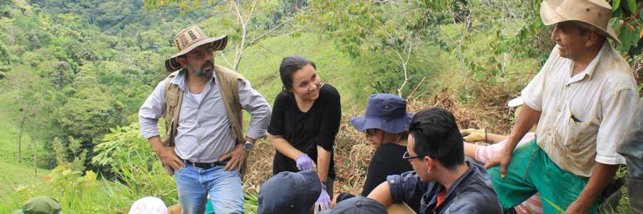 ‘Sembrar nos une’, ¿es suficiente para salvar los bosques colombianos?