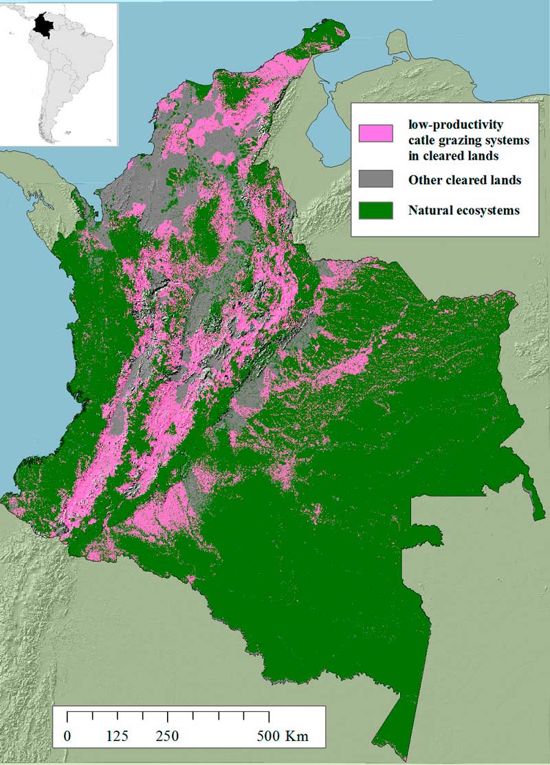 areas-para-restauracion-ecologica-en-colombia-2