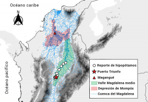 mapa-de-hipopotamos-en-colombia