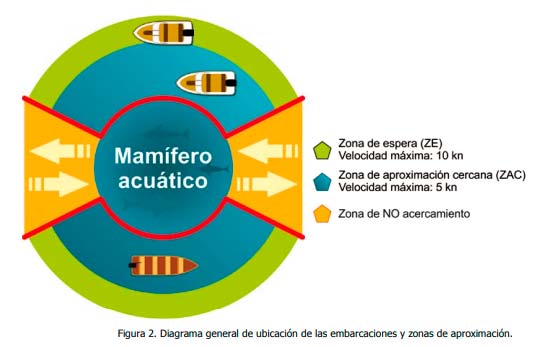 diagrama-de-circulacion-avistamiento