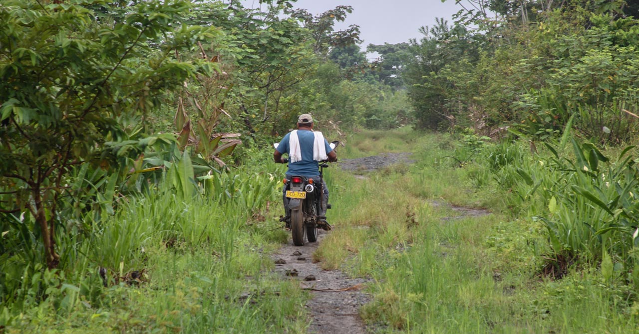 En las regiones del país se da la construcción de paz territorial.