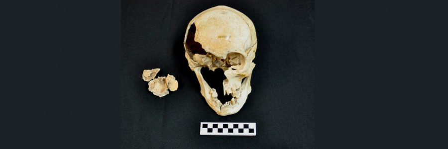 Investigadores comprobaron la teoría que un antropólogo colombiano postuló en los ochenta