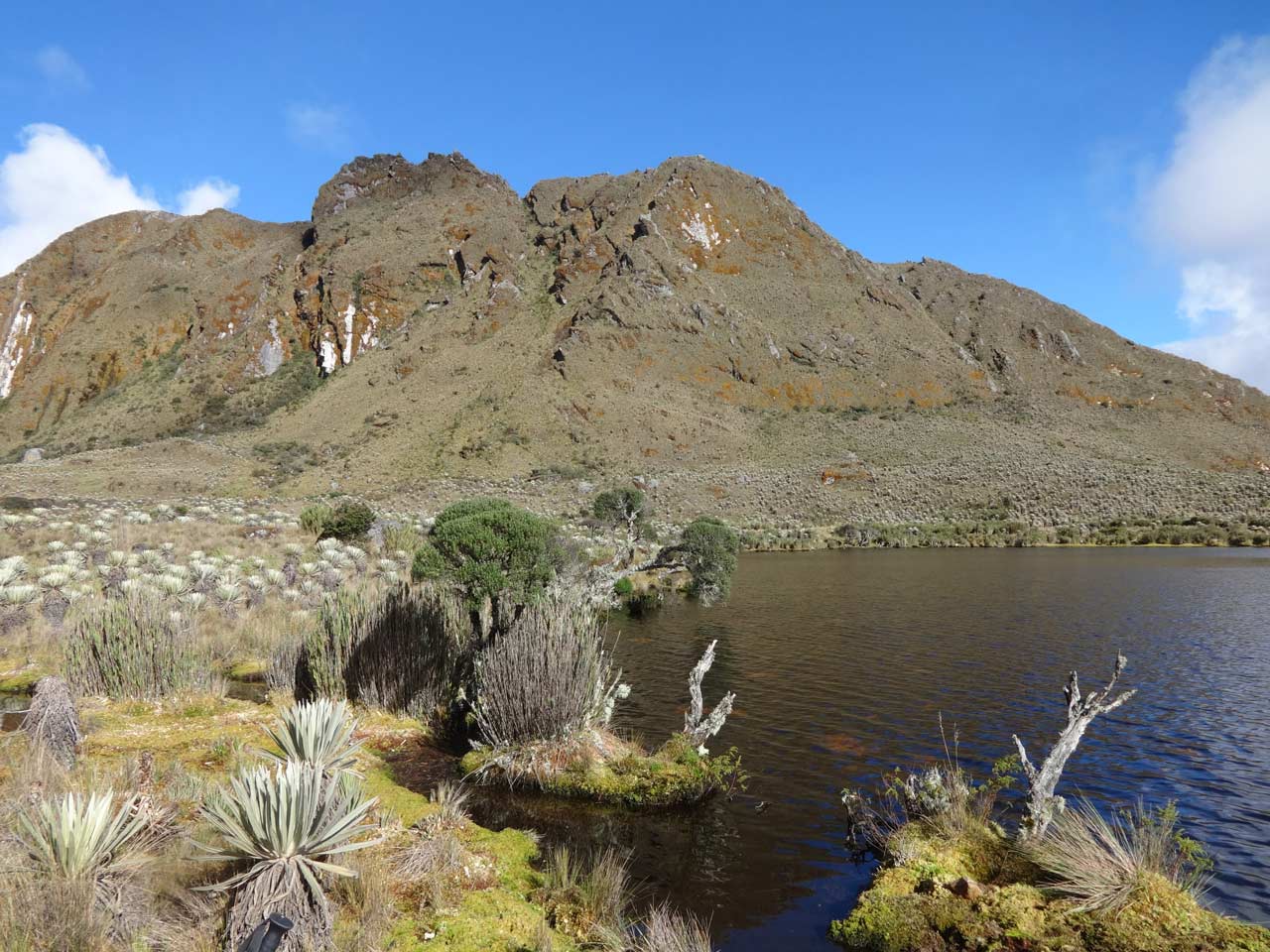 Lagos de páramo