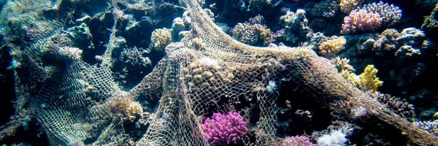 COP26: se necesita un compromiso urgente para salvar los océanos