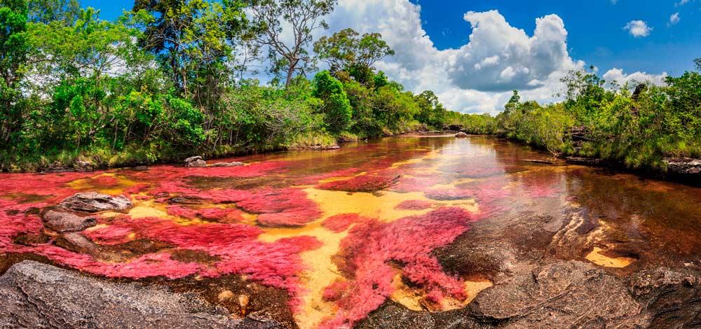 Parques Nacionales Naturales en Colombia