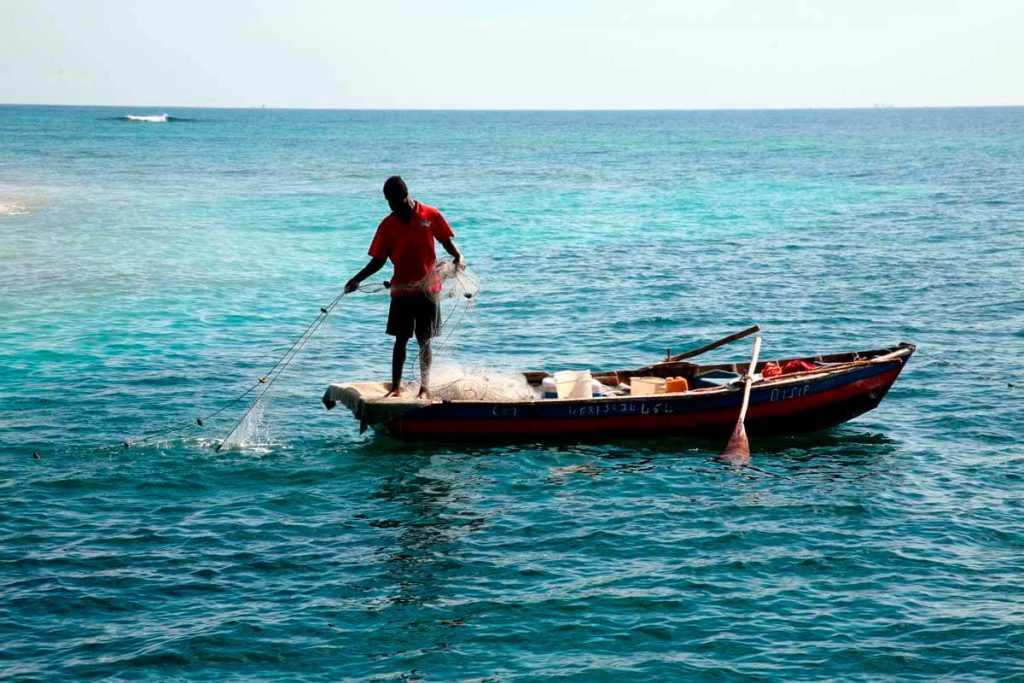 Fallo Haya pescadores