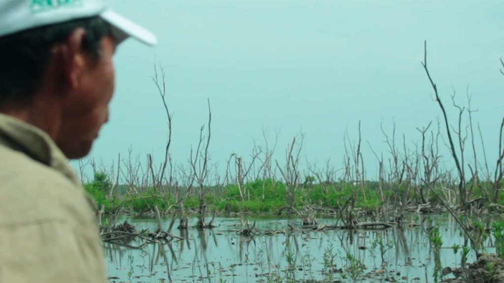 Afectación en la Ciénaga Grande de Santa Marta