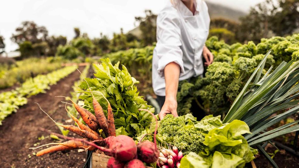 La agricultura familiar permitiría la superación de la pobreza rural