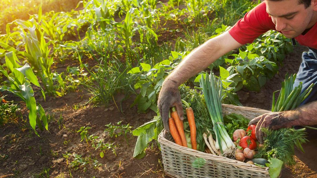 La Agricultura familiar permite la superación de la pobreza rural