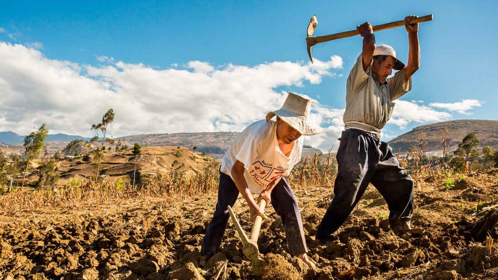 La agricultura familiar son sistemas de producción viables