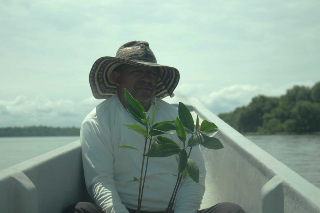 Javier de la Cruz. Reforestación en Playón Ariza, Buenavista.