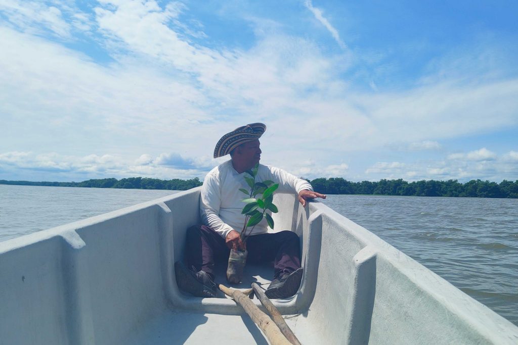 Javier de la Cruz. Reforestación de manglares en la Ciénaga Grande de Santa Marta