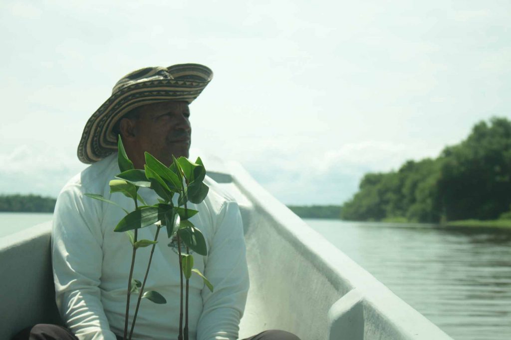 Javier de la Cruz en la Ciénaga Grande de Santa Marta