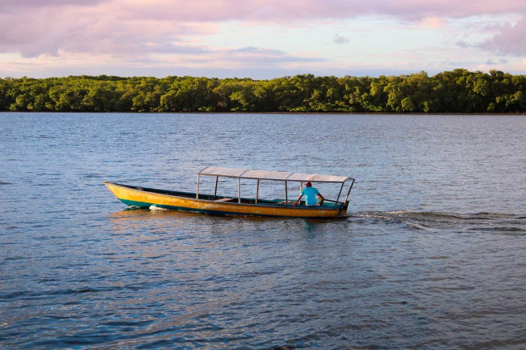 Más destacado de ambiente