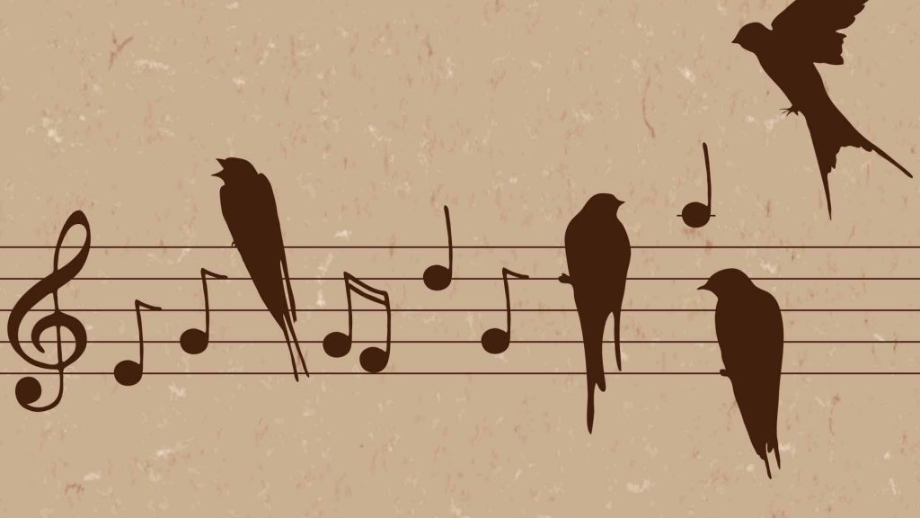 La obra Canto silencioso, de la compositora colombiana Laura Pacheco, es una reflexión, desde la música clásica, sobre los daños que ha generado el ser humano al hábitat de las aves. Recientemente fue premiada por la Orquesta Filarmónica de Bogotá.
