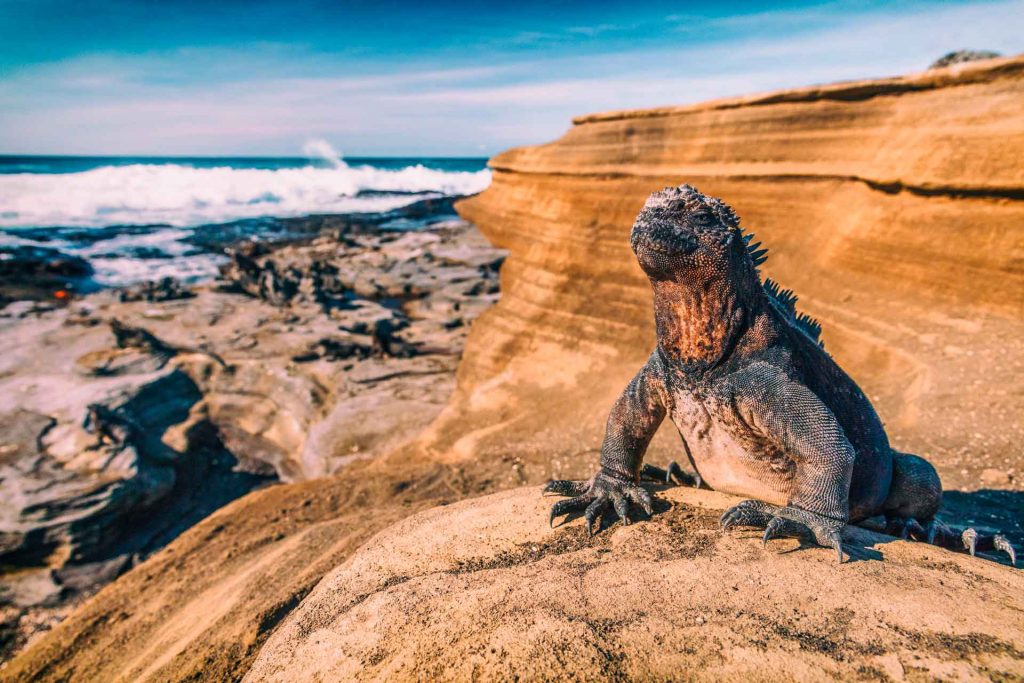 Islas Galápagos Ecuador