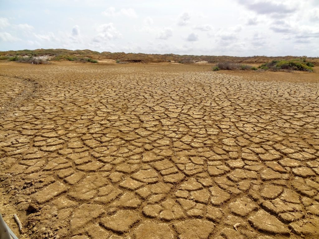 En esta columna se analizan los fenómenos de La Niña y El Niño y el panorama esperado para nuestro país, así como los retos del Gobierno Nacional.