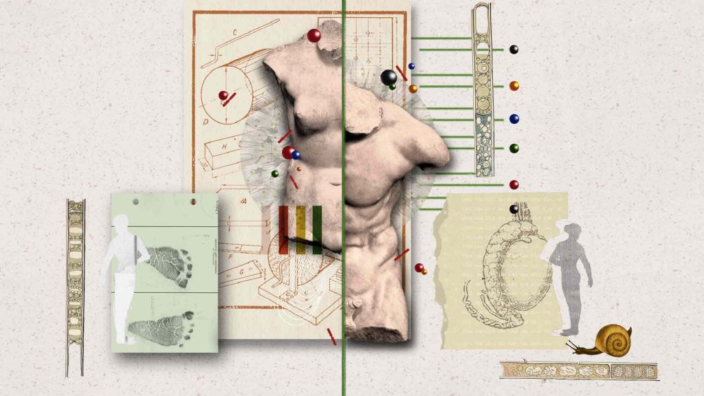 Grupo de investigación javeriano lidera un esfuerzo único en su tipo: acompañar desde la ciencia a familias y personas con condiciones genéticas que alteran la diferenciación sexual, es decir, el proceso por el cual el embrión desarrolla sus órganos genitales.