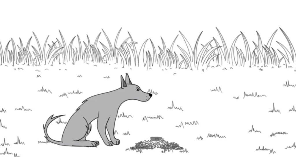 Maestría en Periodismo Científico Minas - buscando la paz