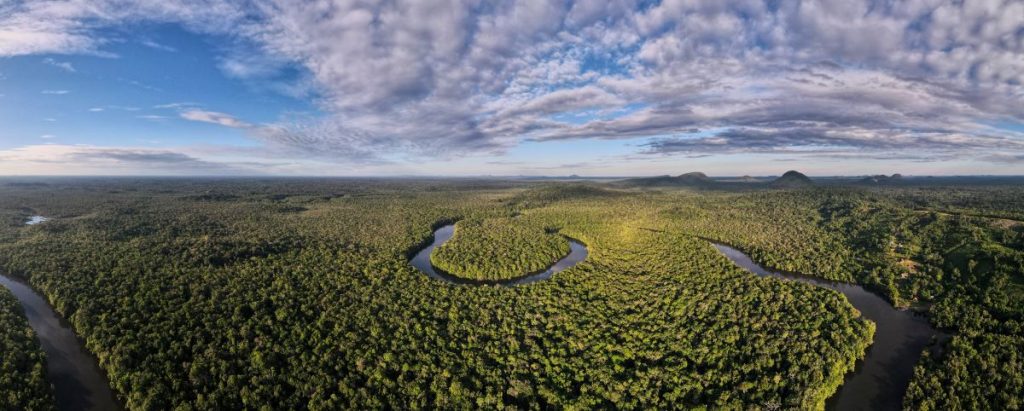 Bonos de carbono. Vista panorámica de la selva amazónica