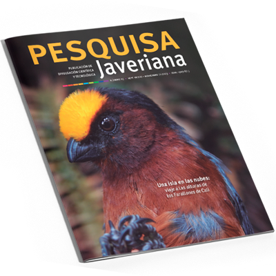 Pesquisa Javeriana 65