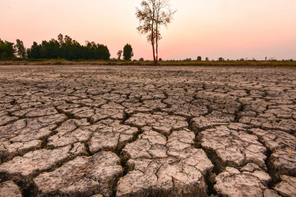El cambio climático y fenómeno de El Niño está produciendo cambios en los ecosistemas. Foto Shutterstock. 