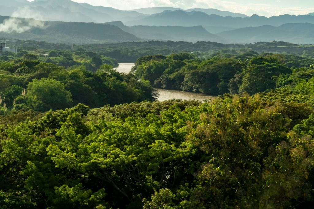 Los artículos de medioambiente más destacados en 2023 hablan sobre especies invasoras, cambio climático y la riqueza hídrica del país. Foto Shutterstock.