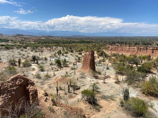 El desierto de la Tatacoa, ubicado en el Huila, es un bosque seco tropical. Foto cortesía Lucía Vargas.