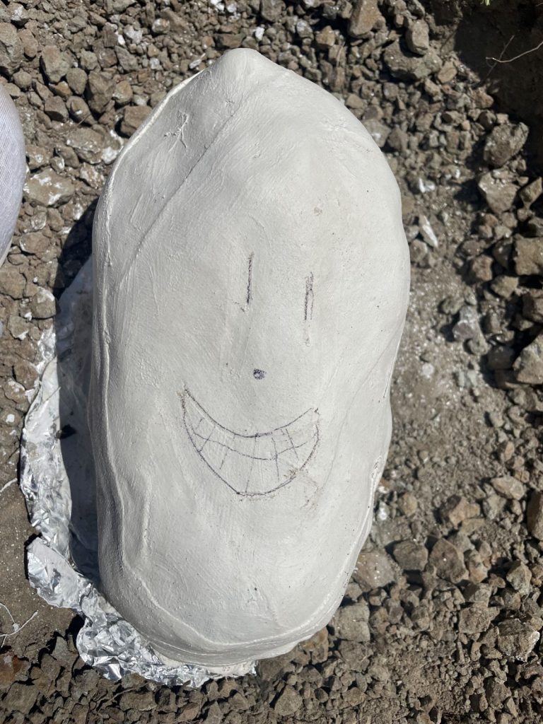 El fragmento de fósil encontrado fue cubierto con yeso para protegerlo y llevarlo al museo. Foto cortesía Lucía Vargas. 