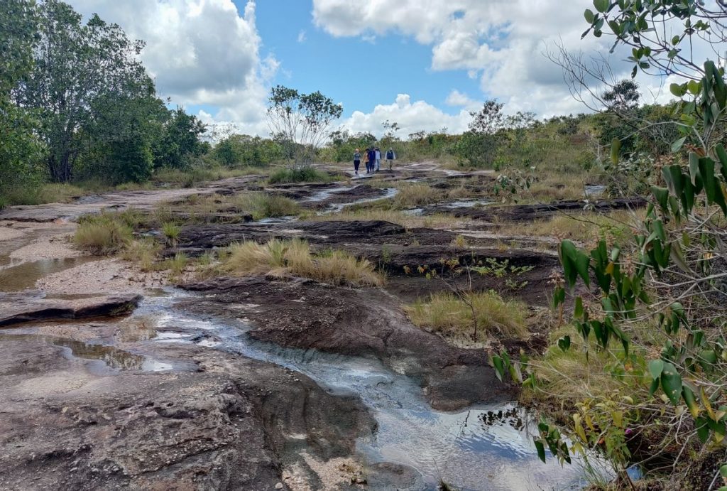 Caño Cristales está ubicado en el Parque Nacional Natural Serranía de la Macarena. Fotografía cortesía Andrés Vargas Luna.