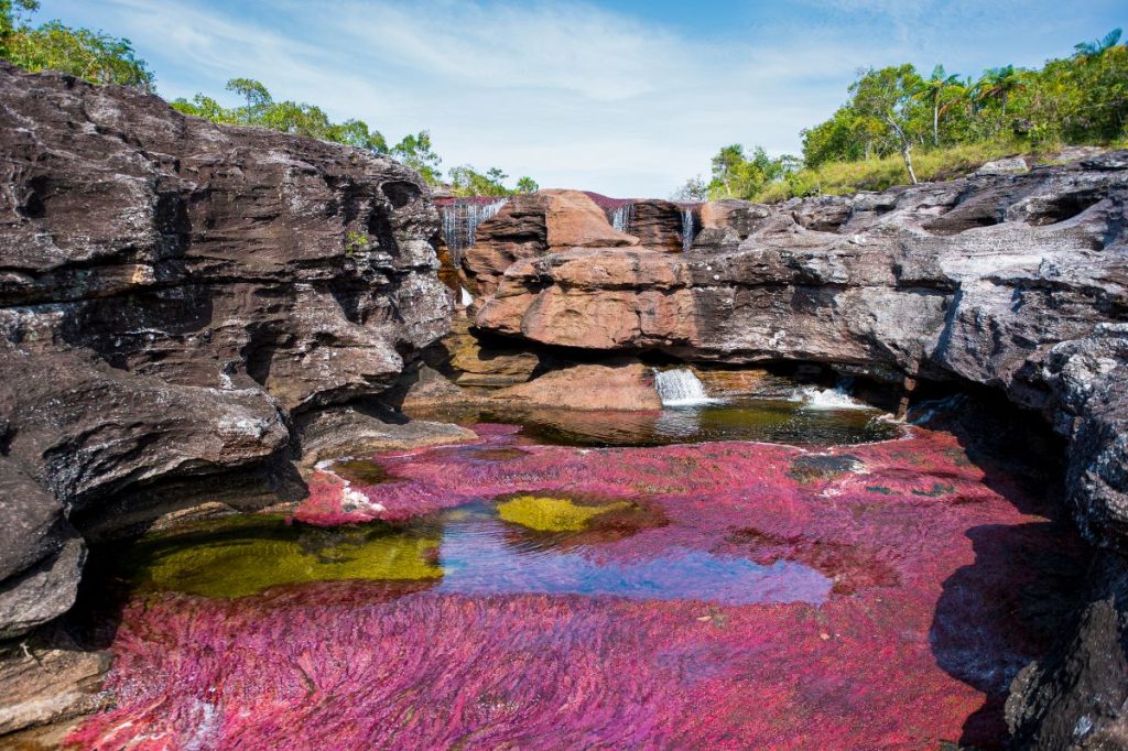 Investigadores javerianos realizaron la caracterización ecohidráulica de Caño Cristales. Foto Shutterstock.
