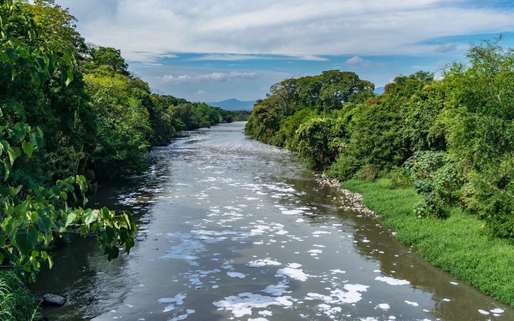 El 2024, un año clave para la biodiversidad, estuvo marcado por sequías prolongadas que provocaron incendios forestales, lluvias extremas que desataron inundaciones y la histórica COP16 celebrada en Cali. En medio de estos hechos, Pesquisa Javeriana asumió un papel crucial al conectar la ciencia con la ciudadanía, informando sobre la realidad ambiental del país.